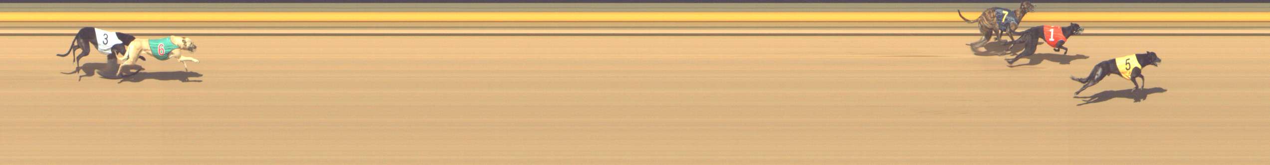 Photo finish for Shepparton Race 12