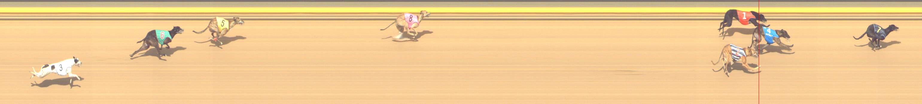 Photo finish for Shepparton Race 14