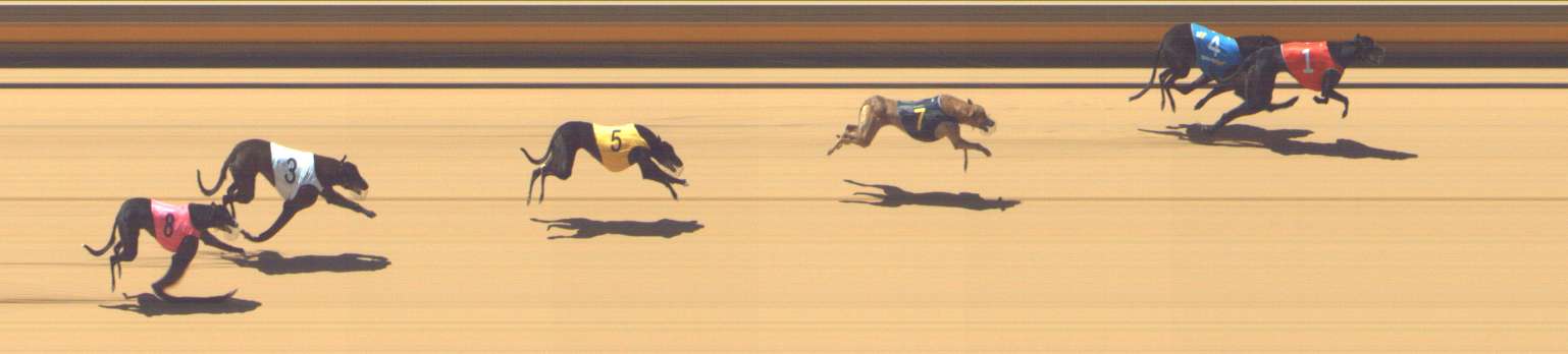 Photo finish for Shepparton Race 2
