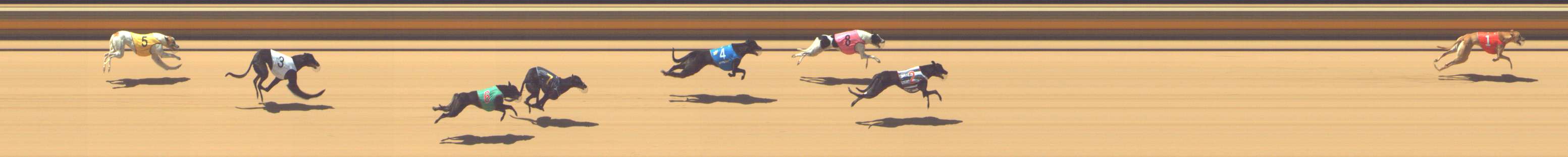 Photo finish for Shepparton Race 3