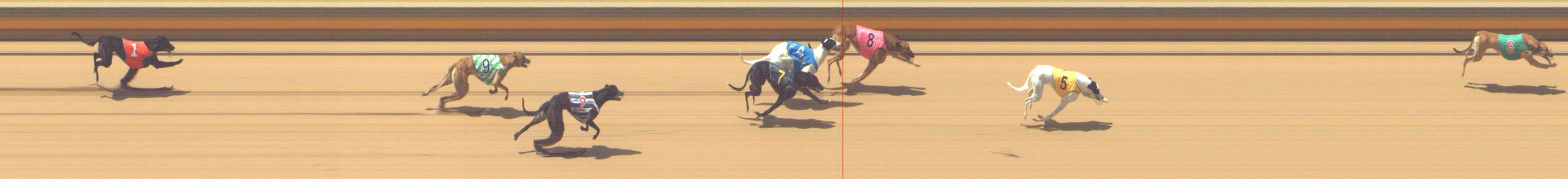 Photo finish for Shepparton Race 4