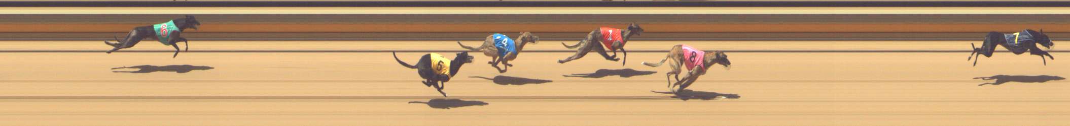 Photo finish for Shepparton Race 5
