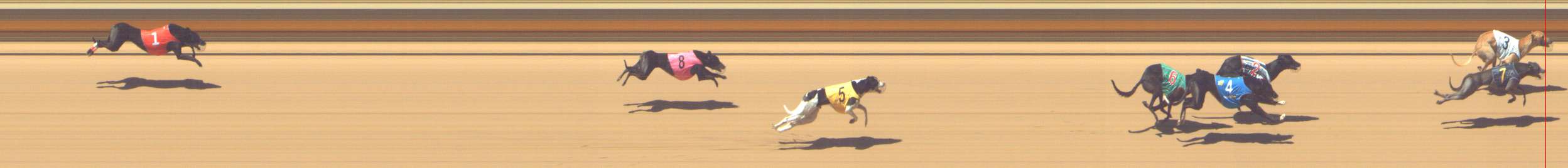 Photo finish for Shepparton Race 6