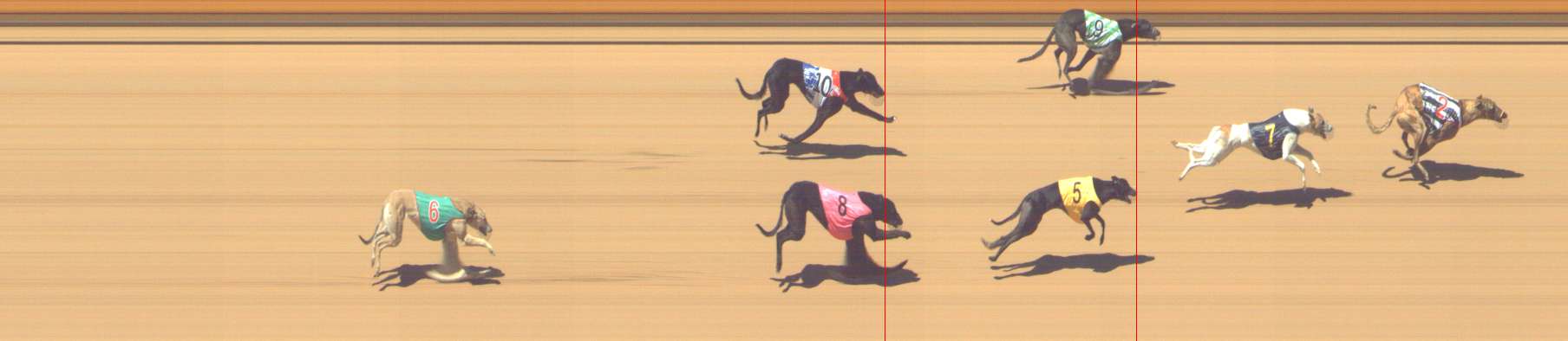 Photo finish for Shepparton Race 7
