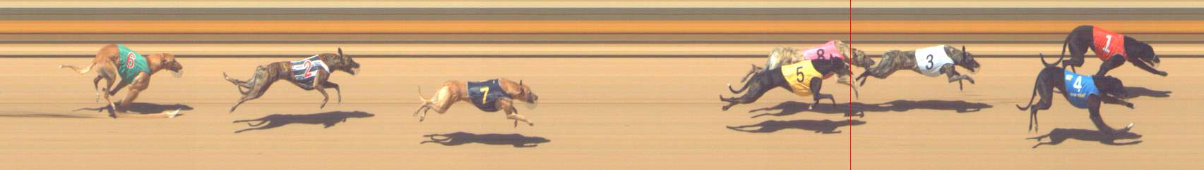 Photo finish for Shepparton Race 8