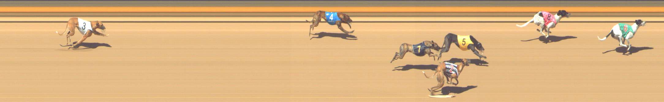 Photo finish for Shepparton Race 9