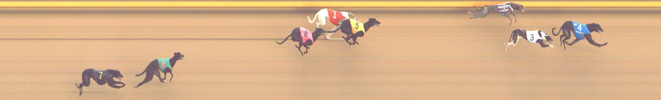 Photo finish for Shepparton Race 1
