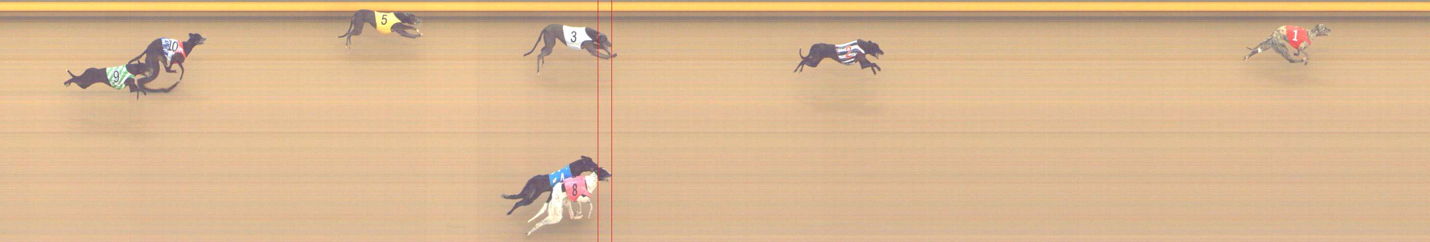 Photo finish for Shepparton Race 2