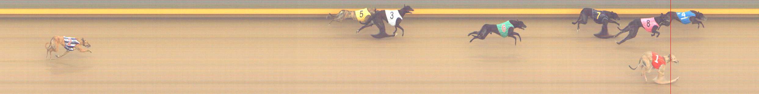 Photo finish for Shepparton Race 3