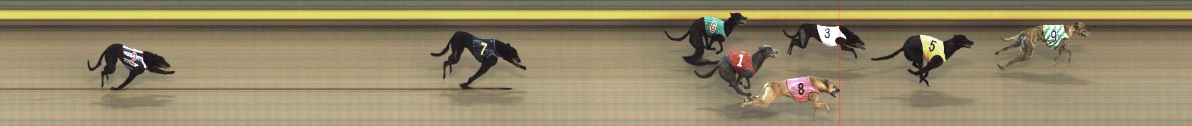 Photo finish for Shepparton Race 4