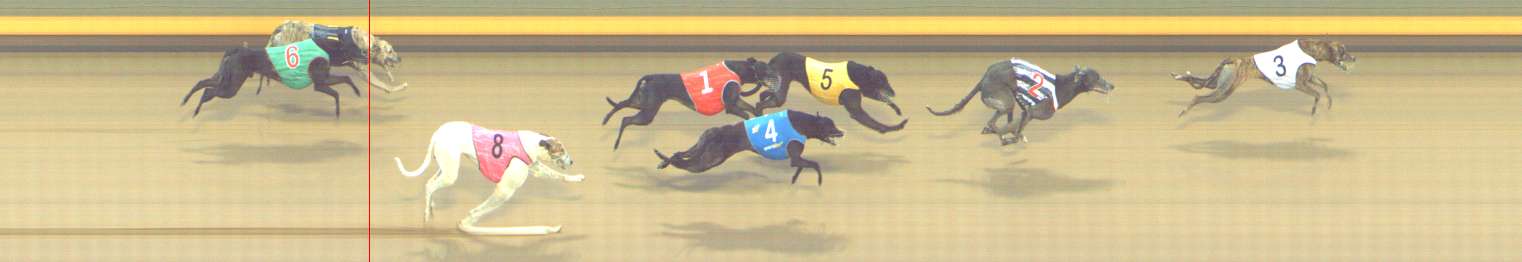 Photo finish for Shepparton Race 5