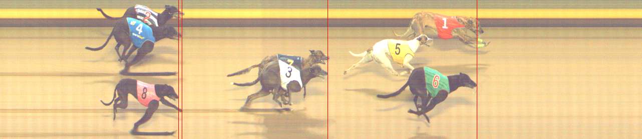 Photo finish for Shepparton Race 6