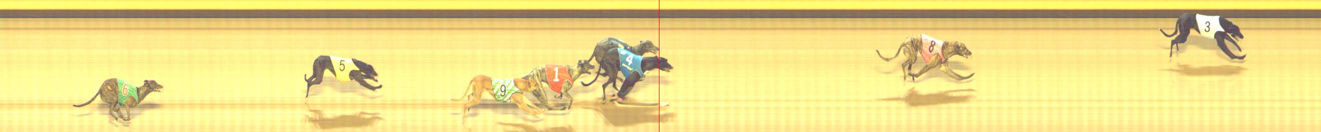 Photo finish for Shepparton Race 7