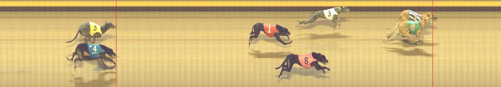 Photo finish for Shepparton Race 8