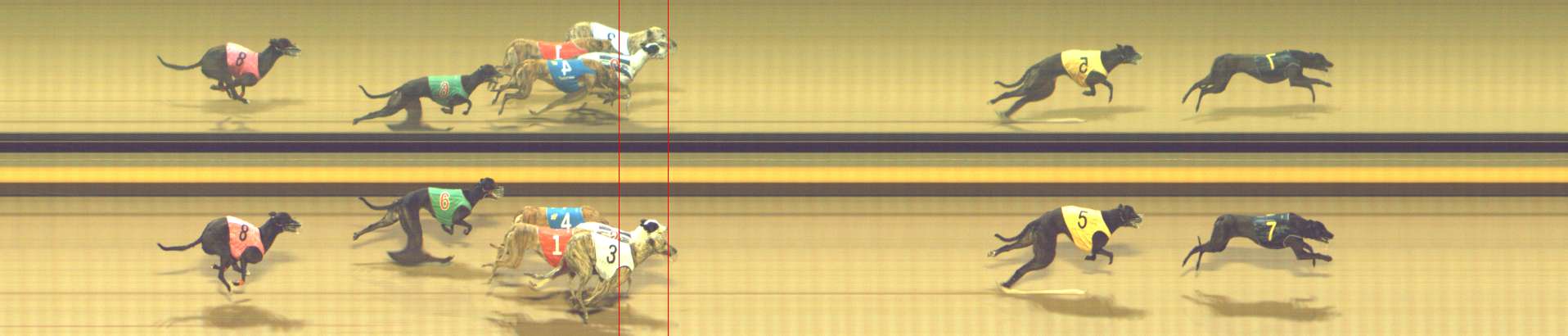 Photo finish for Shepparton Race 9