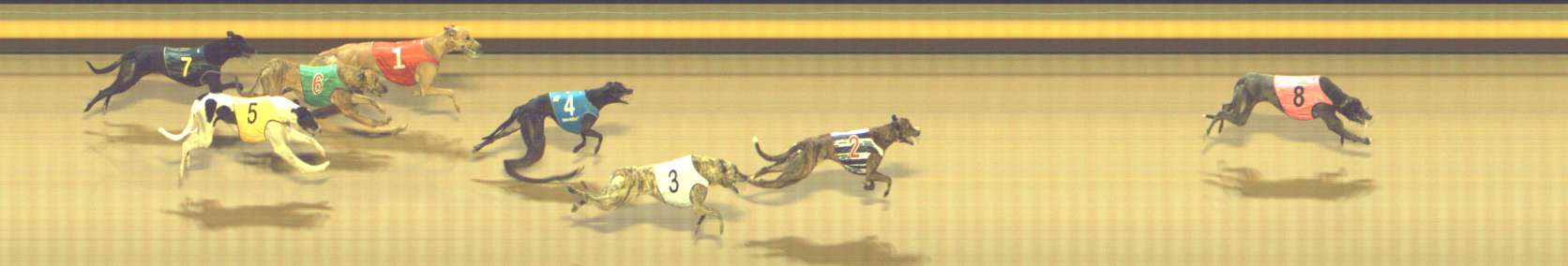 Photo finish for Shepparton Race 10