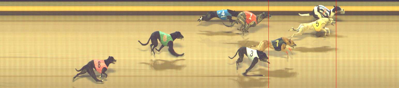 Photo finish for Shepparton Race 11