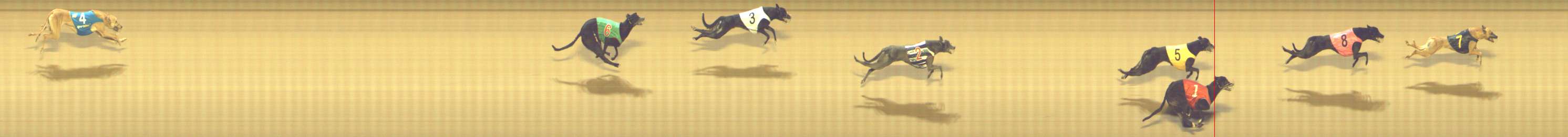Photo finish for Shepparton Race 12