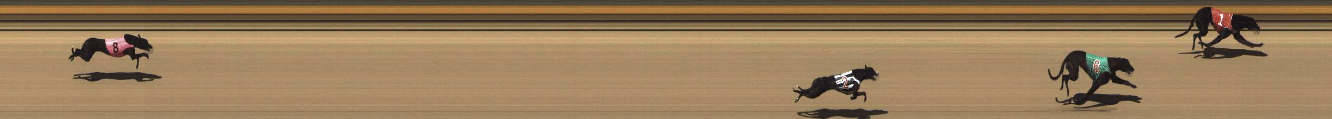 Photo finish for Shepparton Race 1
