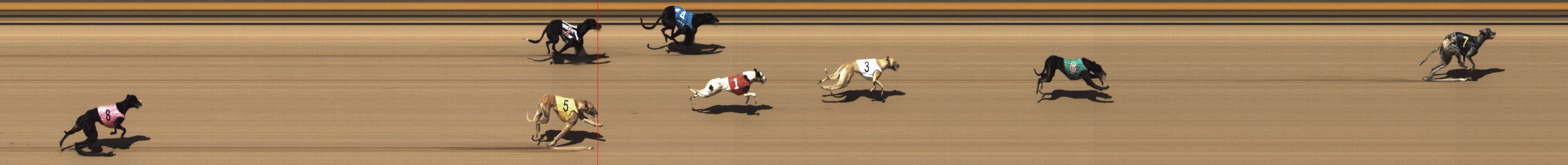 Photo finish for Shepparton Race 2