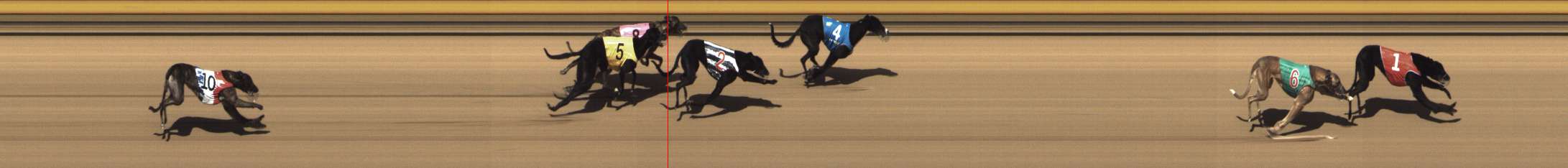 Photo finish for Shepparton Race 3