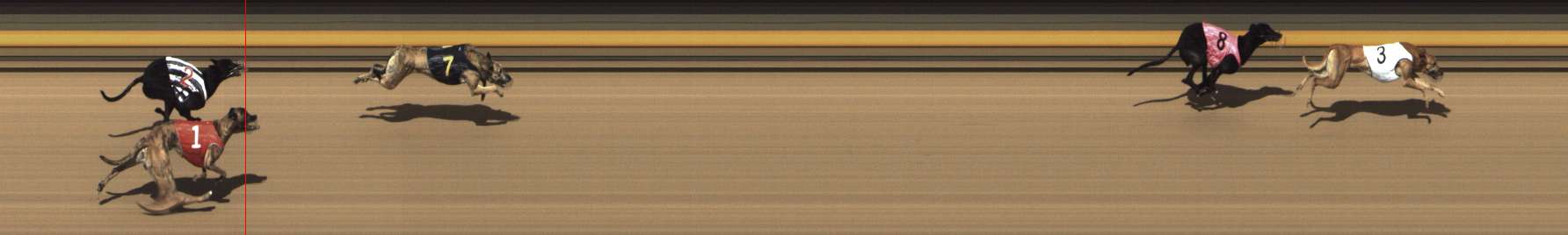 Photo finish for Shepparton Race 4