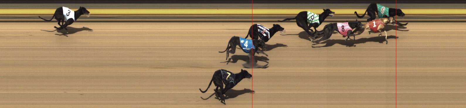Photo finish for Shepparton Race 5