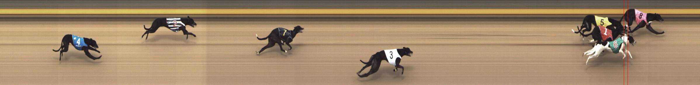 Photo finish for Shepparton Race 6