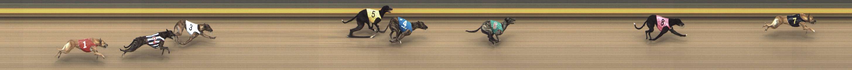 Photo finish for Shepparton Race 7