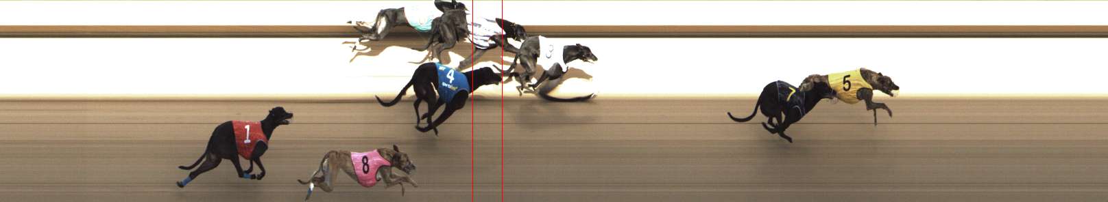 Photo finish for Shepparton Race 9