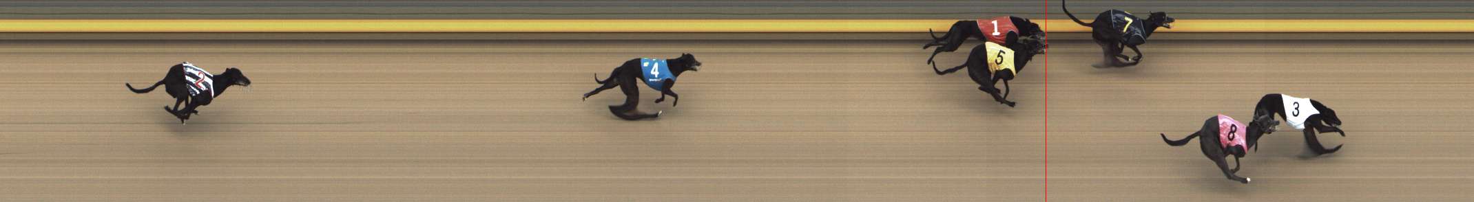 Photo finish for Shepparton Race 10