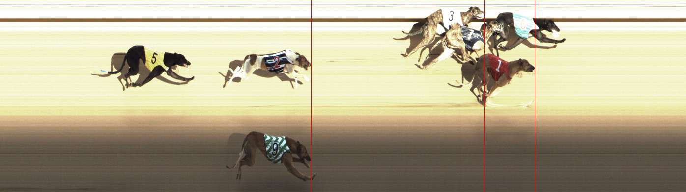 Photo finish for Shepparton Race 12