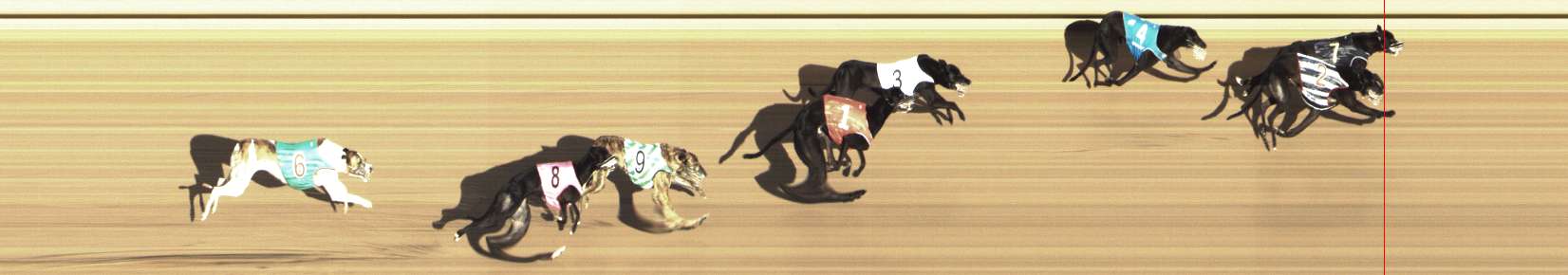 Photo finish for Shepparton Race 13