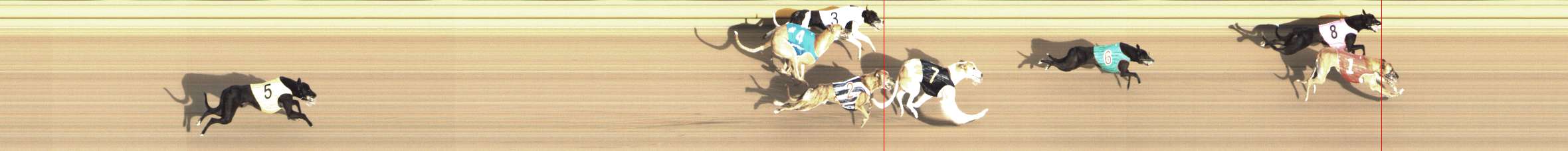 Photo finish for Shepparton Race 14