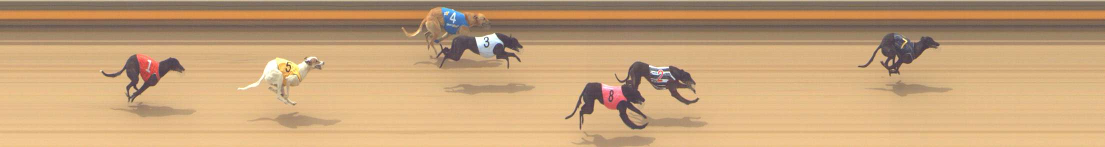 Photo finish for Shepparton Race 1