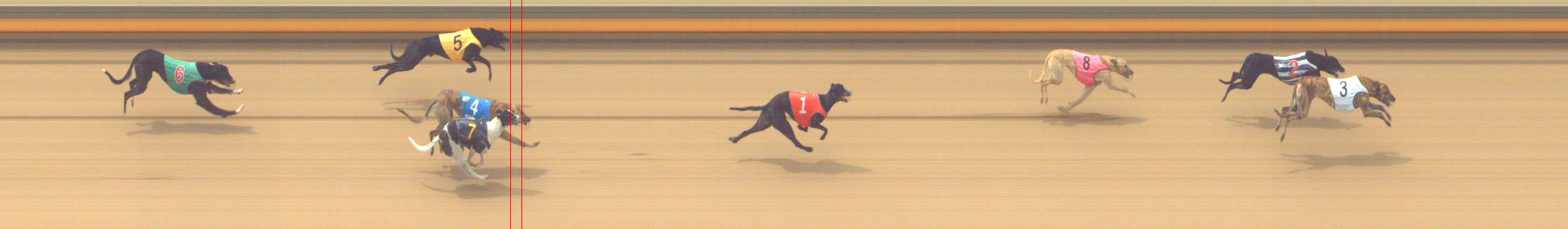 Photo finish for Shepparton Race 3
