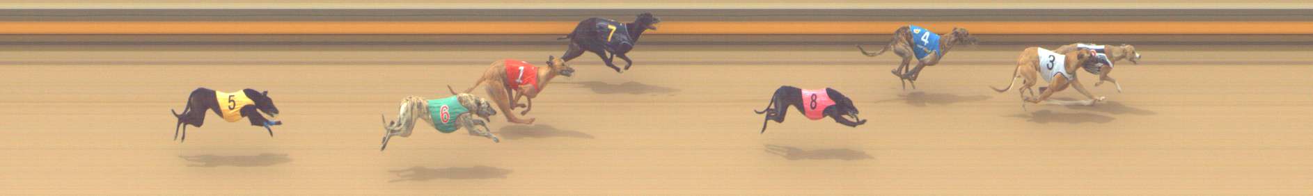 Photo finish for Shepparton Race 4