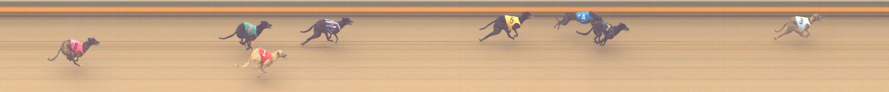 Photo finish for Shepparton Race 5