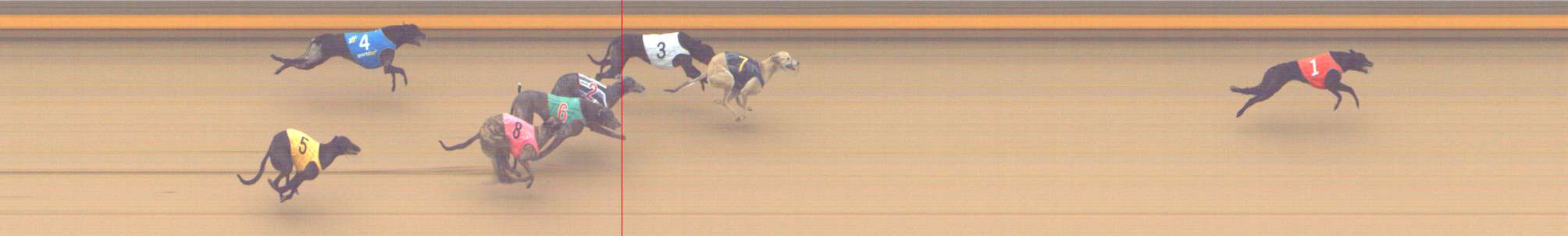 Photo finish for Shepparton Race 6
