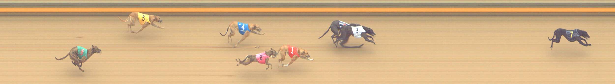 Photo finish for Shepparton Race 7