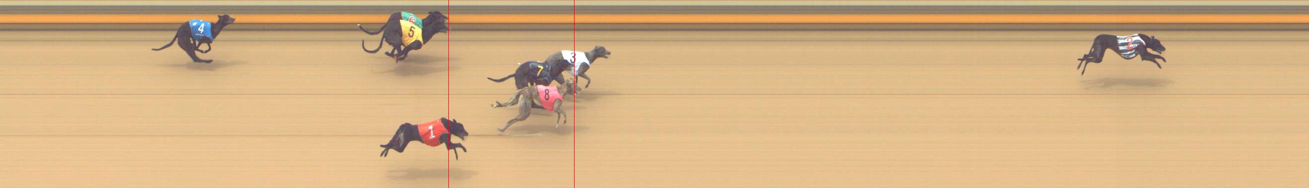 Photo finish for Shepparton Race 8