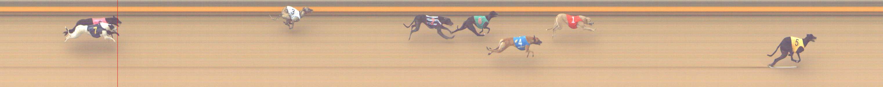 Photo finish for Shepparton Race 9