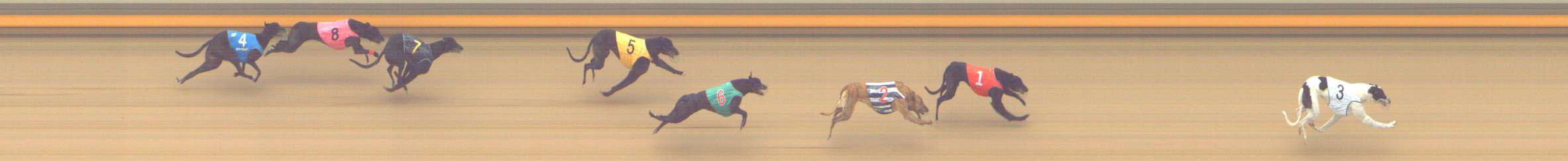 Photo finish for Shepparton Race 10
