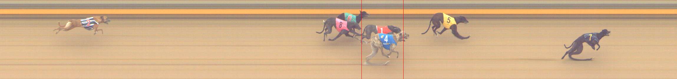 Photo finish for Shepparton Race 11