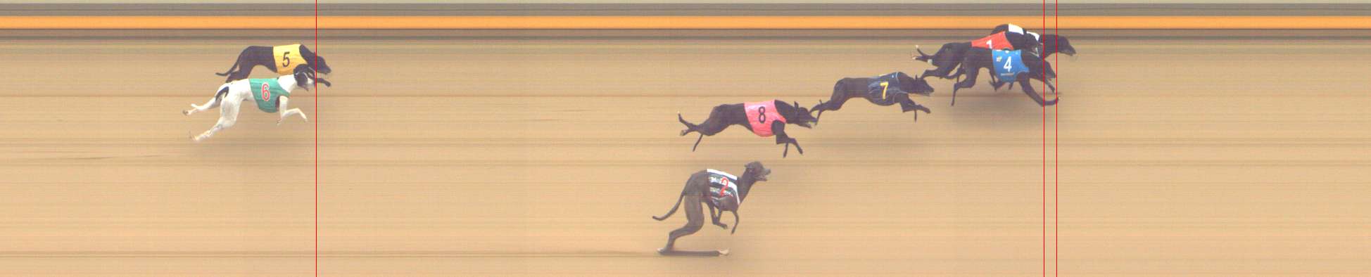 Photo finish for Shepparton Race 12