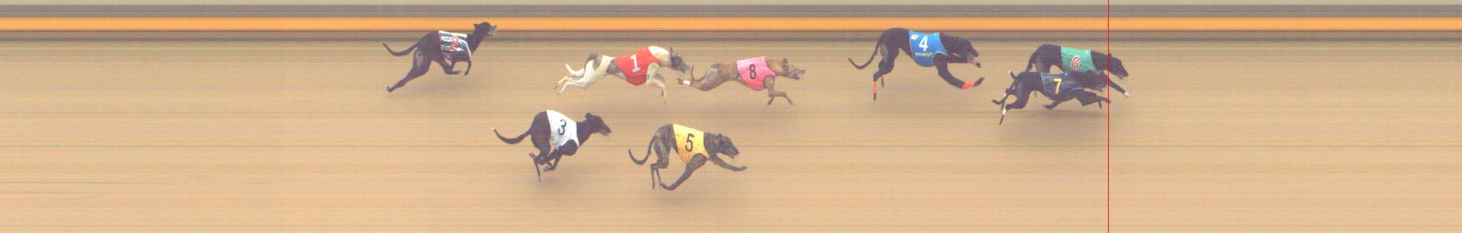 Photo finish for Shepparton Race 13