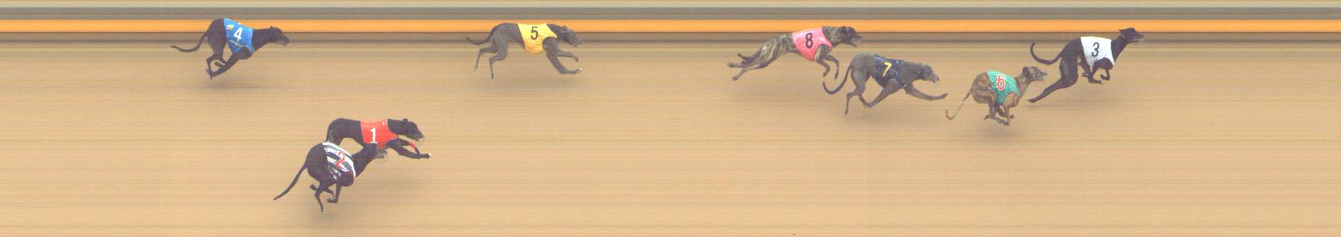 Photo finish for Shepparton Race 14