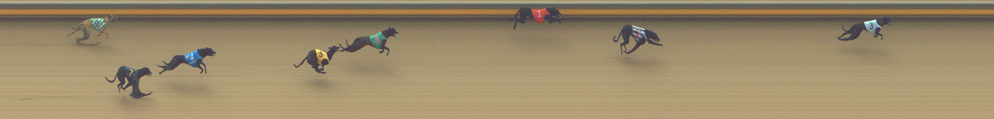 Race result finish photo