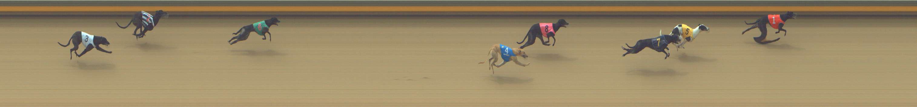 Photo finish for Shepparton Race 2