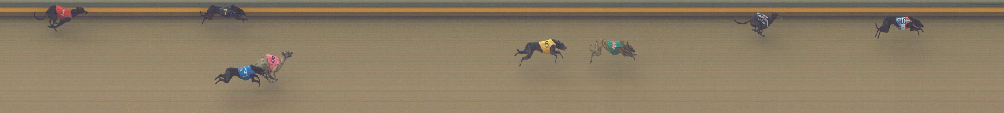 Photo finish for Shepparton Race 3